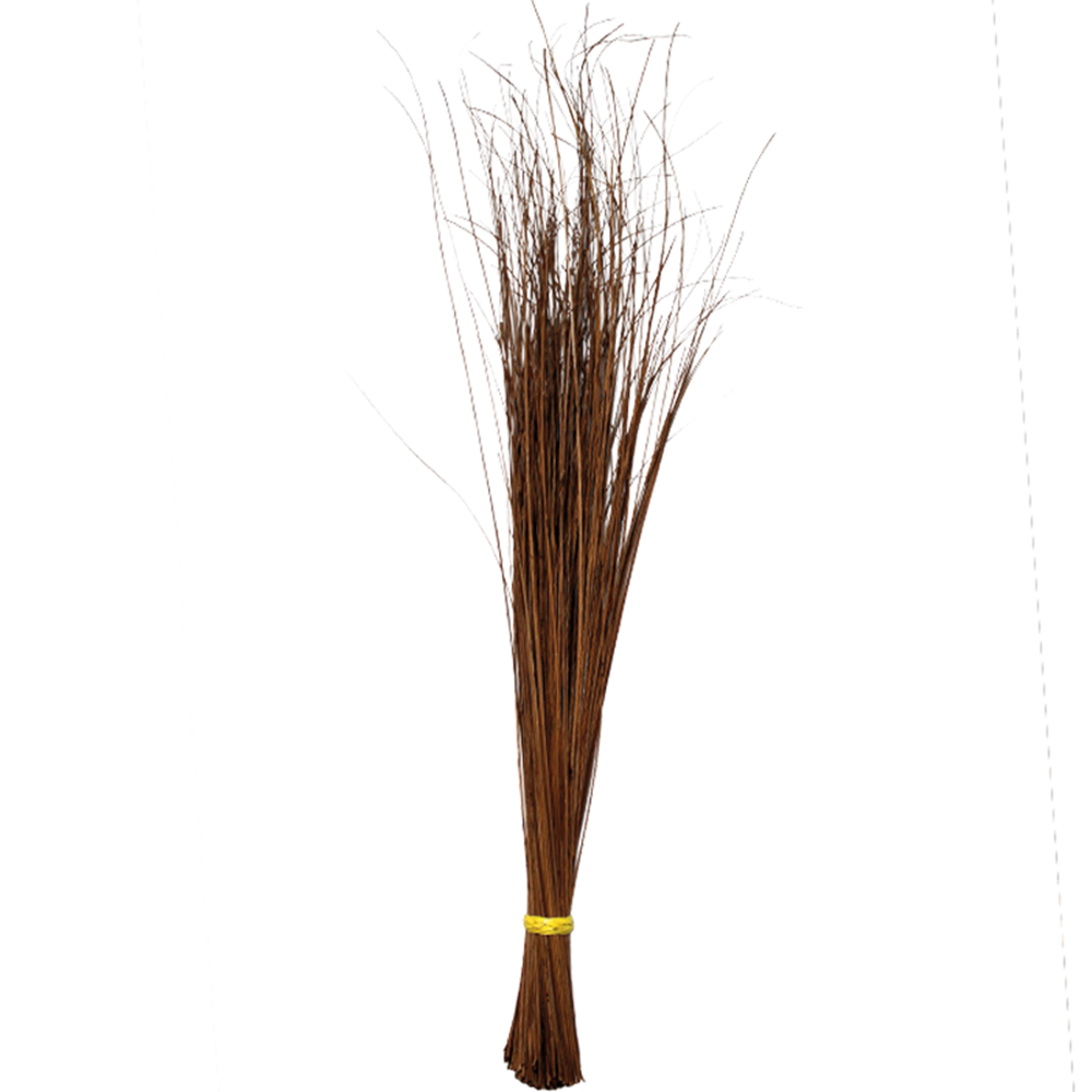 Picture of PH | Tingting | Sweeping Broom (Walis Tingting) | 10pcs.